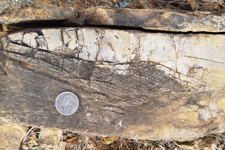 Cross-bedded, well-structured, medium to coarse grade Late Cretaceous sandstone bed of the upper Carqueijo Formation. Monte Branco, Maio, Cabo Verde.