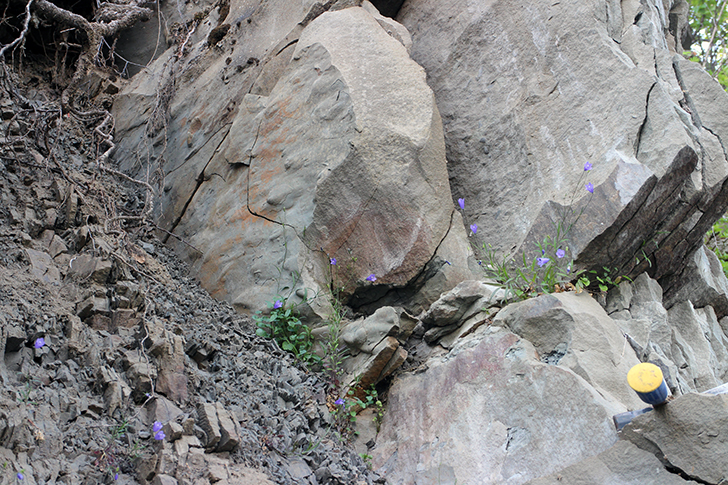 Early Kungurian turbiditic sandstones