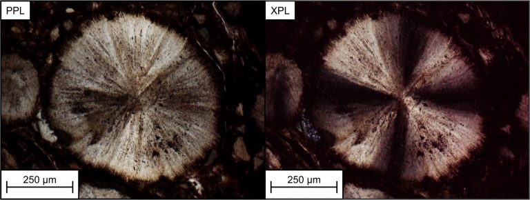Climate Paleocene early to Eocene