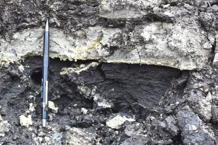 Late Cretaceous Arctic Source Rock