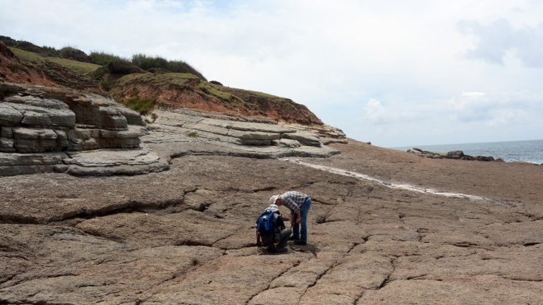 Featured publication: Dynamic Late Jurassic environments in Portugal reconstructed