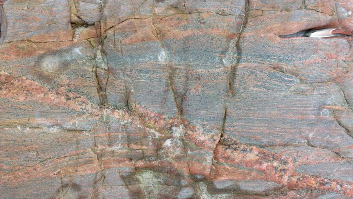 Complex igneous and metamorphic history displayed in the Lewisian Complex on Iona.