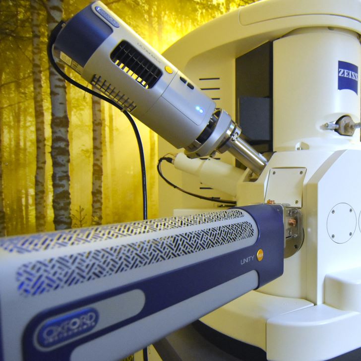 Unity and Ultim Max detector on CASPs Zeiss EVO15 MA SEM