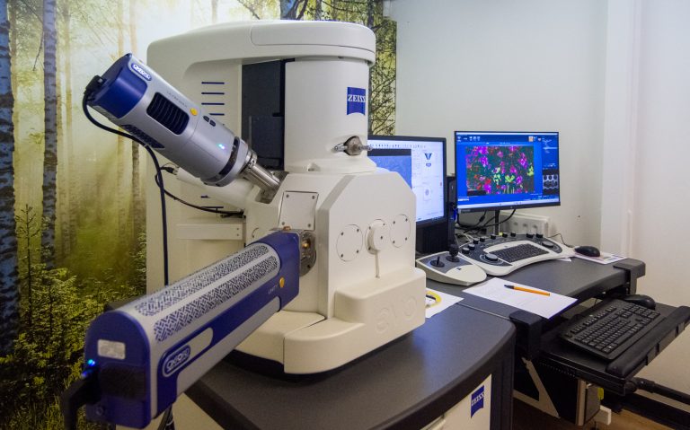 SEM Facility